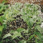 Valeria´s Dreams-blog-La importancia de los productos ecológicos en bebés